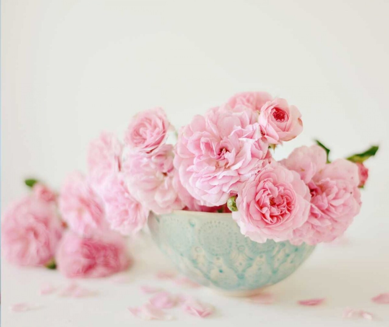 Petals and Porcelain Poster Print by Sarah Gardner - Item # VARPDX11440